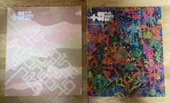 Plus Eighty One +81 アートブック