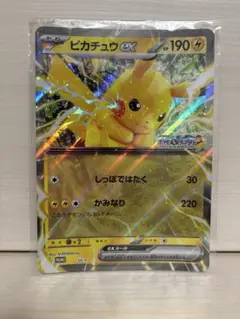 ポケモンメガスタンプラリー2025ジャンボカード