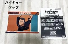 田中龍之介 劇場版 ハイキュー!! ゴミ捨て場の決戦 クリアビジュアルポスター2