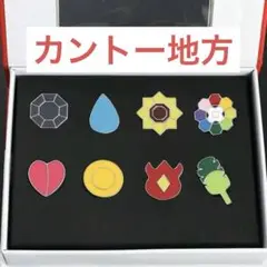 ポケセンオンライン限定　ジムバッジコレクション　チャンピオンロードセット2 ジムバッジ：でんき バッジコレクション チャンピオンロード