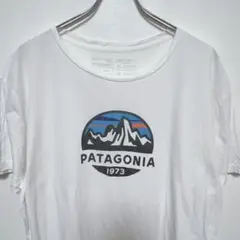 パタゴニア　USA製 半袖Tシャツ　イラストアートプリント　オーガニックコットン