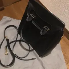 アレキサンダーマックイーン ヒロインバッグ