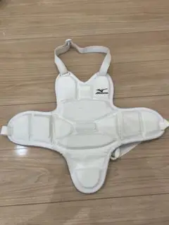 空手　胴プロテクター　サイズS Mizuno ジュニア用
