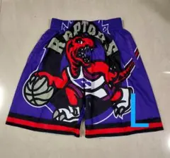 新品 NBA トロント・ラプターズ トレイシー・マグレディ、レナード