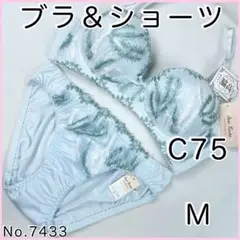 ブラジャーショーツセットC75 No.7433