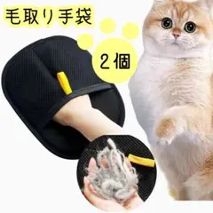 Item thumbnail for item b9a75171-75ba-4e6c-96fe-854b0bb94ef1
