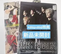 威神V WayV BIG BANDS Photobook CD アルバム
