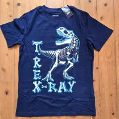 キッズ　Tシャツ　150cm(キッズM)