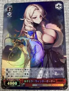 ルドミラ　観賞用　ヴァイスシュヴァルツ　ユニオンアリーナ　NIKKE 1