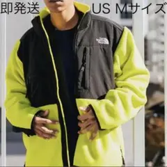即納 新品 THE NORTH FACE ノースフェイス レトロデナリUS M