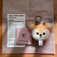SEVENTEEN lovemoneyfame サノク キーリング ドギョム