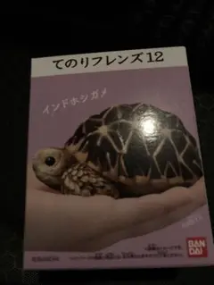 Item thumbnail for item 7a50e4d6-4470-4e67-b4cb-64406be1d38a