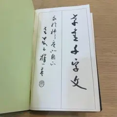 Item thumbnail for item 6c9479ad-d9ae-4cee-879a-72354437cc63