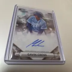 GAVIN CROSS ギャビン・クロス 直書サイン 直筆サイン WBC MLB