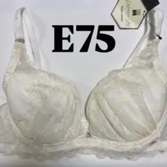 Item thumbnail for item 35dd3e42-b427-4b2d-85ad-1b4bf66cdb9c