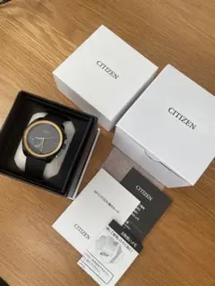 2025年最新】CITIZENエコドライブW510の人気アイテム - メルカリ
