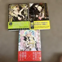 狼殿下の溺愛妃