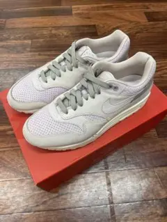 airmax1 pinnacle 27センチ