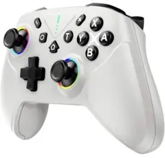 Switch 2 コントローラーTURBO自動連射機能 Switch全世代に対応