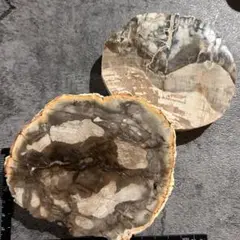 天然石　ペトリファイドウッド　珪化木　1