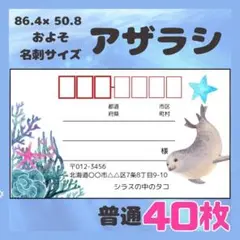 【アザラシ】宛名シール　差出人シール　普通サイズ　40枚　シンプル　海　魚