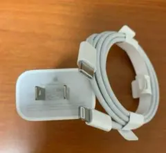 Apple純正20W USB-C電源アダプタ + Lightningケーブル