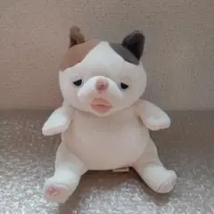 甘噛みハムハム　ミケネコ 猫 ねこ