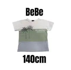 Item thumbnail for item abf64e2c-139c-459a-bf44-7f11647c94d8