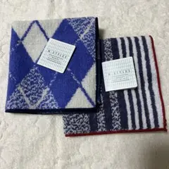 Item thumbnail for item d6721d73-27b1-4969-8497-9337c9f3e9a8