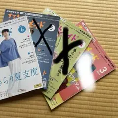 すてきにハンドメイド 2025年3.4.6月号３冊組み