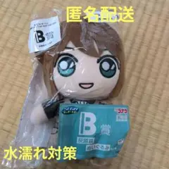 匿名配送 名探偵コナン SEGA 灰原哀 B賞ぬいぐるみ 黒鉄の魚影 隻眼の残像
