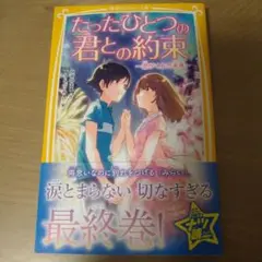 たったひとつの君との約束〜君がくれた未来〜