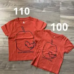 はらぺこあおむし 半袖Tシャツ 100 110 2枚セット