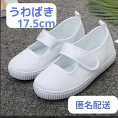 うわばき　マジックテープ式　17.5cm