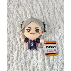 ハイキュー‼︎ みにコレ ぬいぐるみマスコット2 菅原孝支