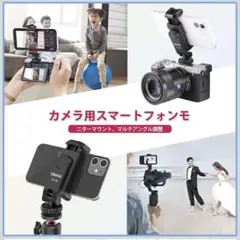 Item thumbnail for item 077da9df-6f43-4be3-882a-0b18a434a37d