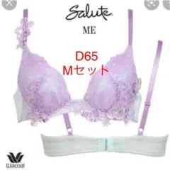 【タイムセール、明日まで】ワコール サルート D65 M BTJ485