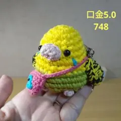 セキセイインコ　がま口　ポーチ　748