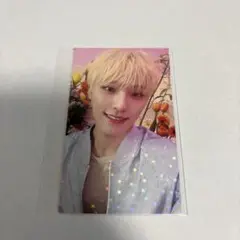 SEVENTEEN ALWAYS YOURS ユニバ トレカ ディノ