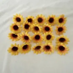 Item thumbnail for item de8bf975-064d-474a-b721-4dae0da56a86