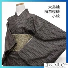 Item thumbnail for item b27a5500-e86e-4067-996e-8d75331a6cd0