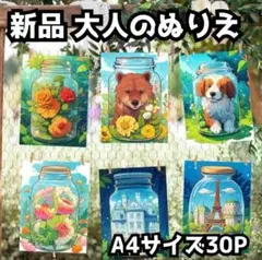 新品 A4サイズ 大人の塗り絵 「魔法の瓶」花 植物 風景 自然 人物画 曼荼羅