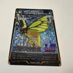 蟲神器 ゴクラクトリバネアゲハ LR