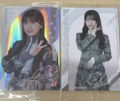 Item thumbnail for item 34e7305f-c797-4000-92f1-f44285846724