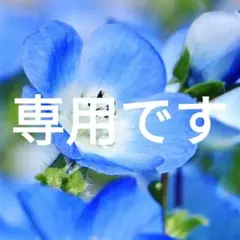 【IL BISONTE 長財布】ロングウォレット グレージュ シボ革 刻印ロゴ