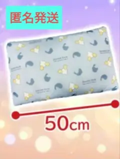 廃棄します　箱なし変更　ドナルド　ひんやりピロー　 ライトブルー　 新品