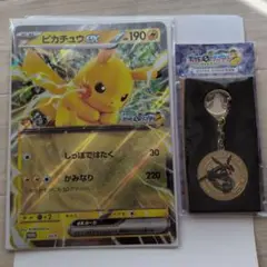 ポケモンメガスタンプラリー2025　ジャンボカードピカチュウ　レックウザ　メダル