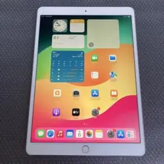 146 電池最良好☆iPad Pro 64GB 10.5インチ SIMフリー☆