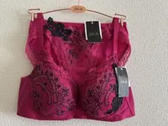 ワコール　サルートSalute ブラジャーショーツセット 新品　E75M