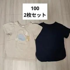 Tシャツ2枚セット (ベージュ、紺）100サイズ